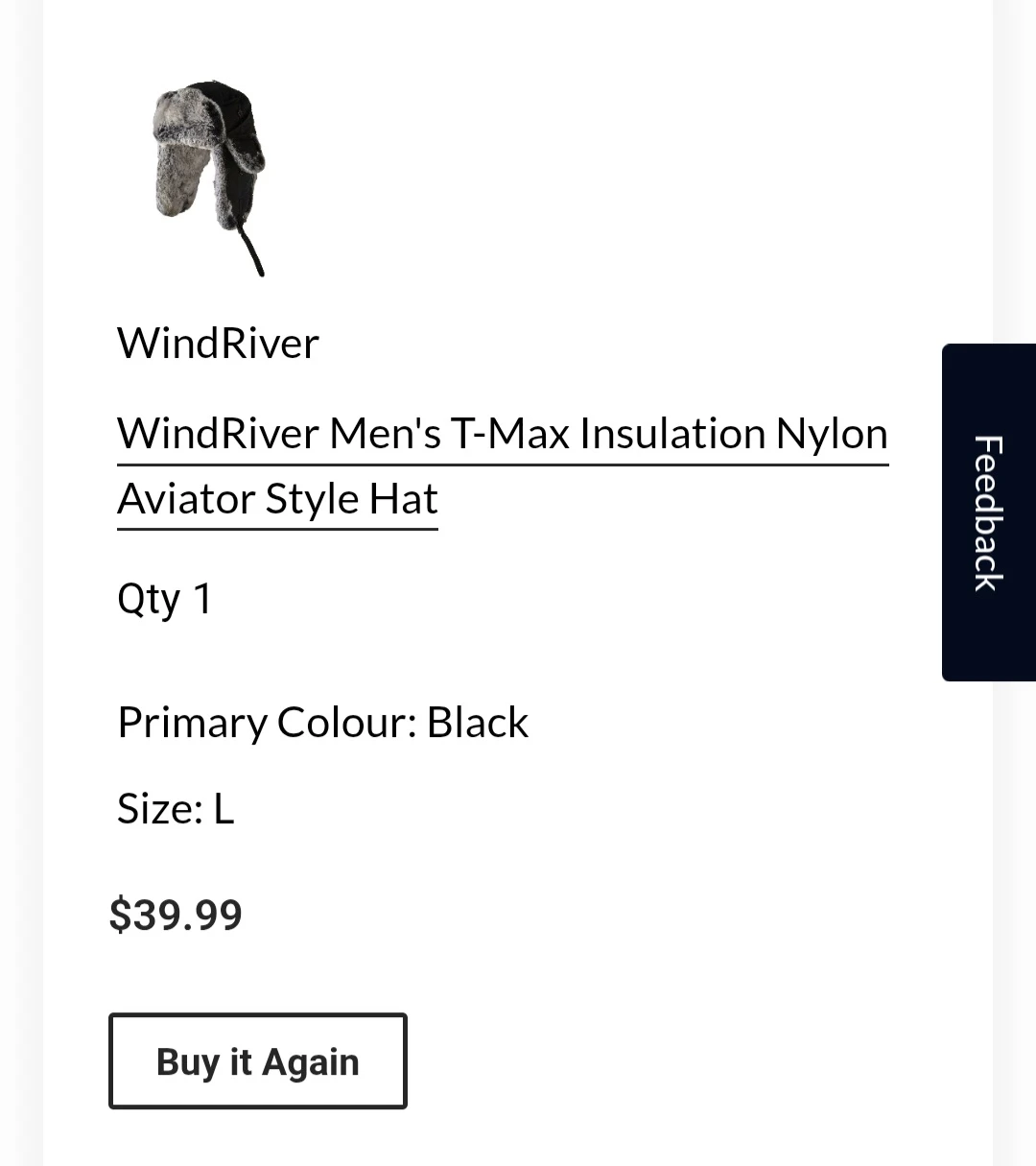 WindRiver Winter Hat - photo 2