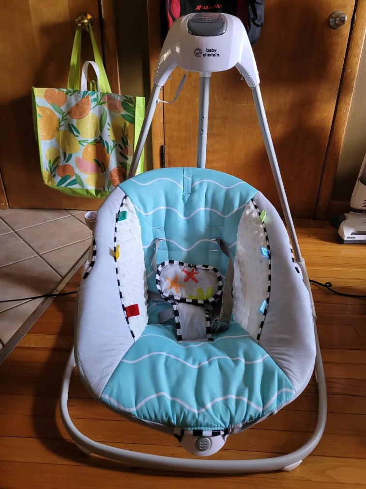 Baby Einstein Swing - photo 2