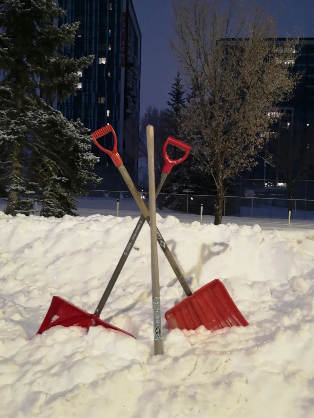 Snow Shoveling ❄️ Clearing/Removal