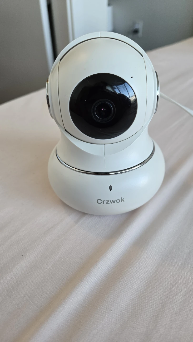 Crzwok LF-P1t Security Camera #Cleanout