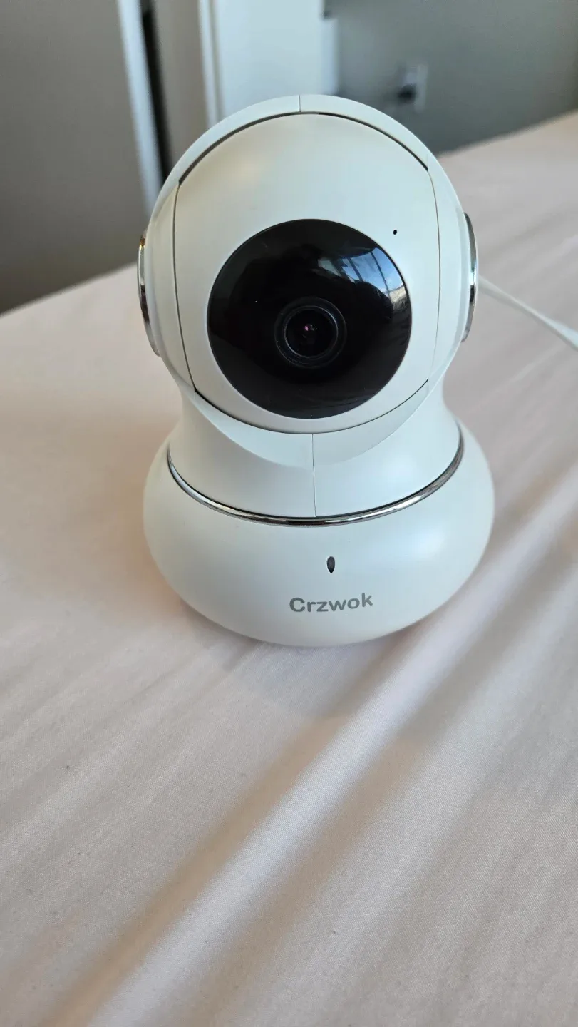 Crzwok LF-P1t Security Camera #Cleanout