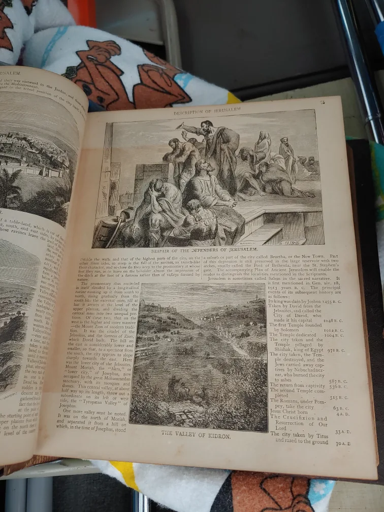 Antique 1881 Holy Bible image indicator(8)