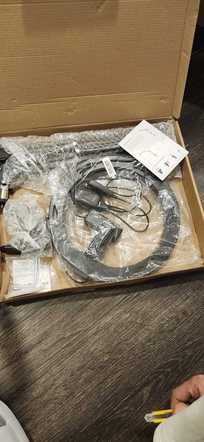 10" Cantilever Bracket Lamp F-619 New in Box - photo 3