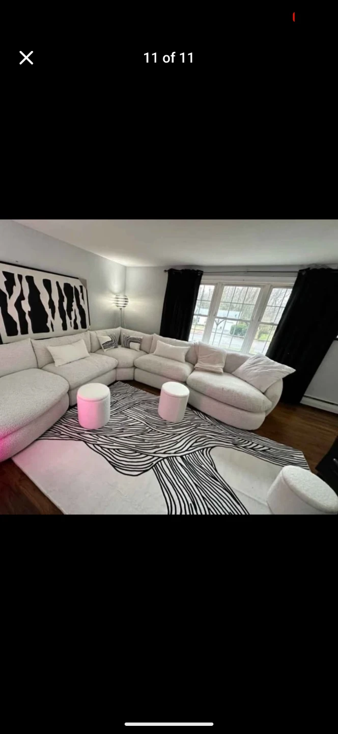 5x7 Washable Abstract Zebra Rug