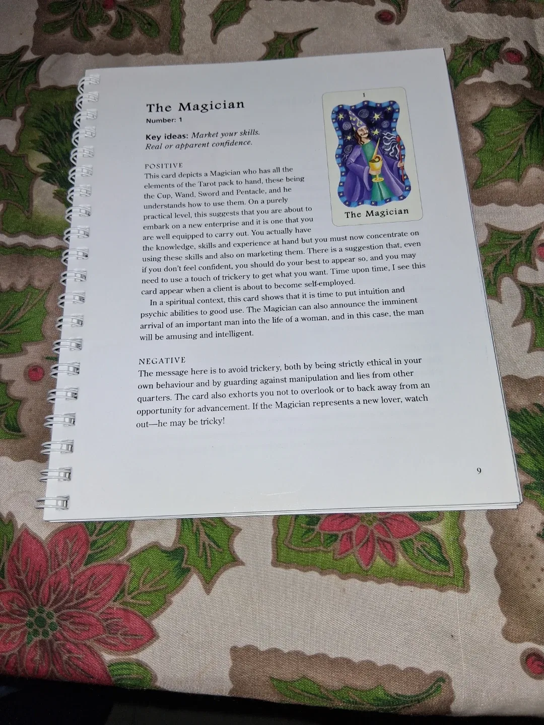 Tarot Deck by Sasha Fenton image indicator(4)