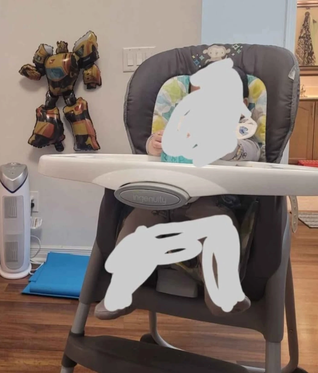 Ingenuity High Chair - photo 2