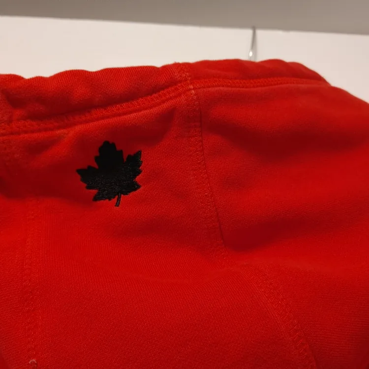 Hoodie - Size L image indicator(7)