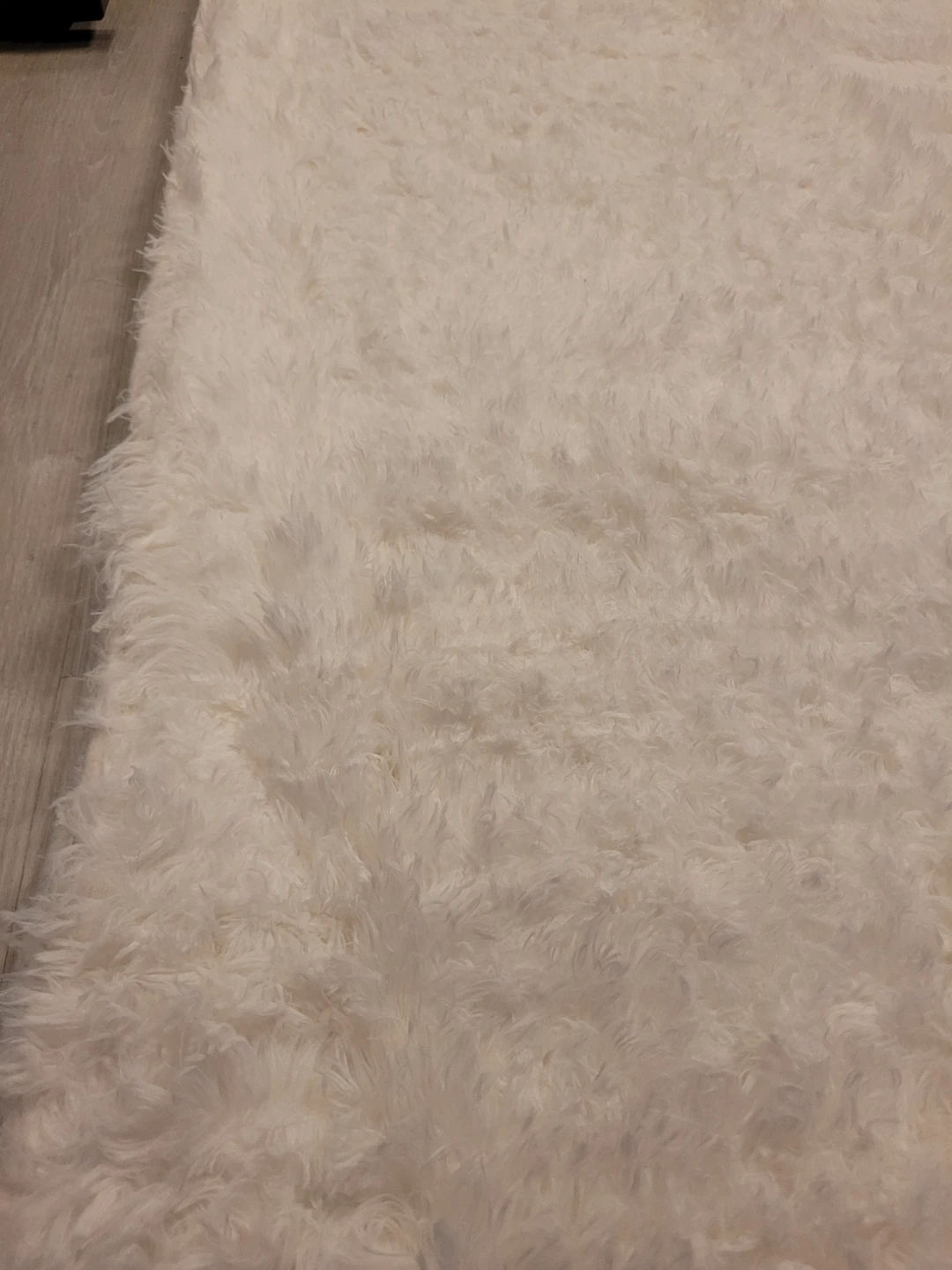 Area Rug (12ft x 9ft) - NEW!!! - photo 2