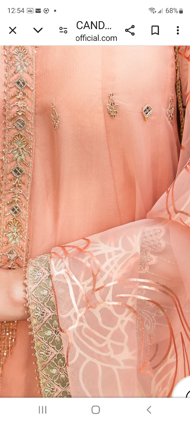 Naqshi Candle Light Dress - photo 5