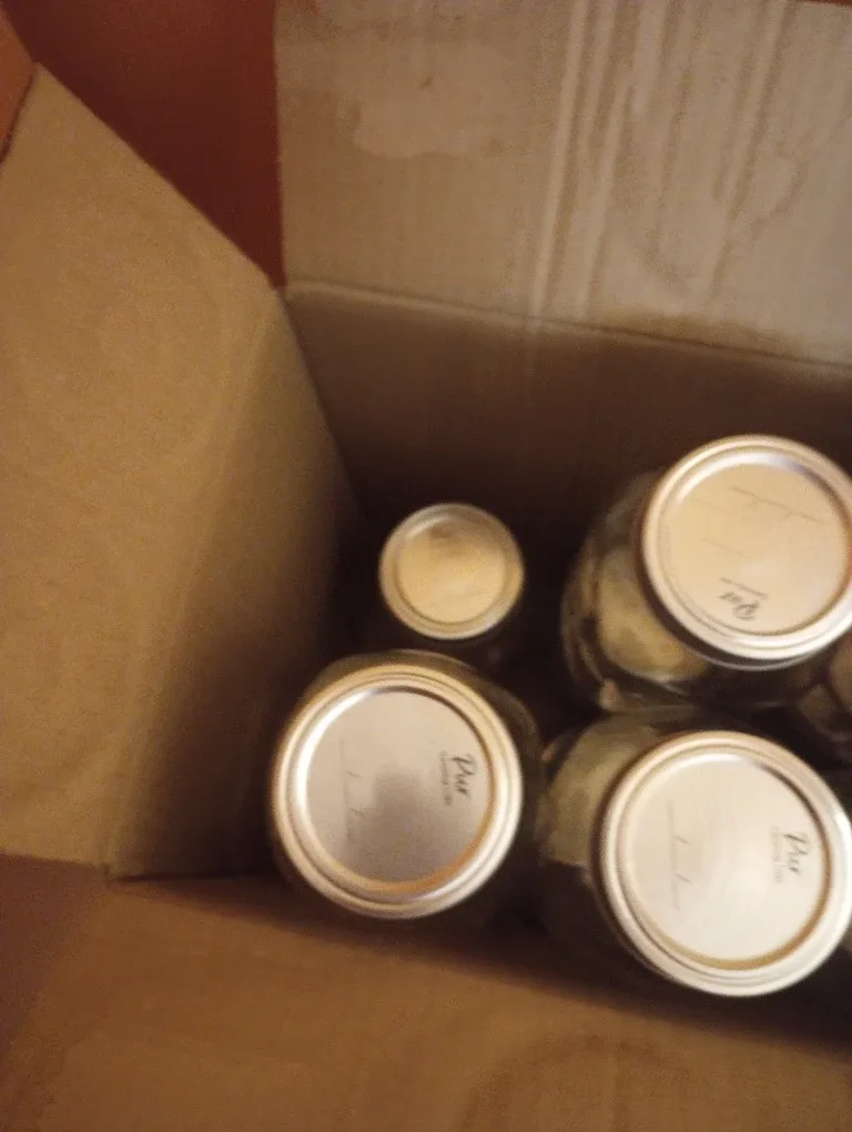 #Cleanout 12 NEW 800ml Mason Jars image indicator(2)