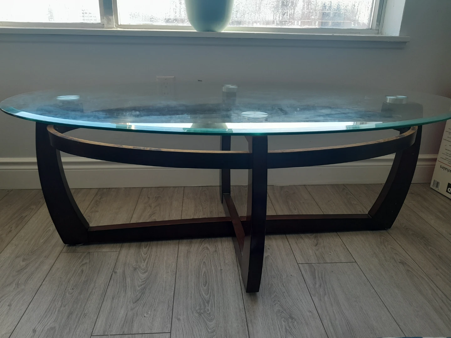 Oval Glass Coffee Table