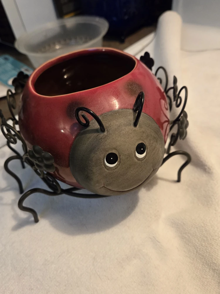 Cute Ladybug Planter