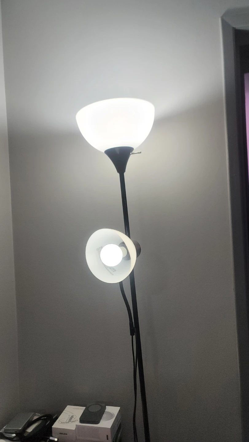 Black Floor Lamp with Two Lights