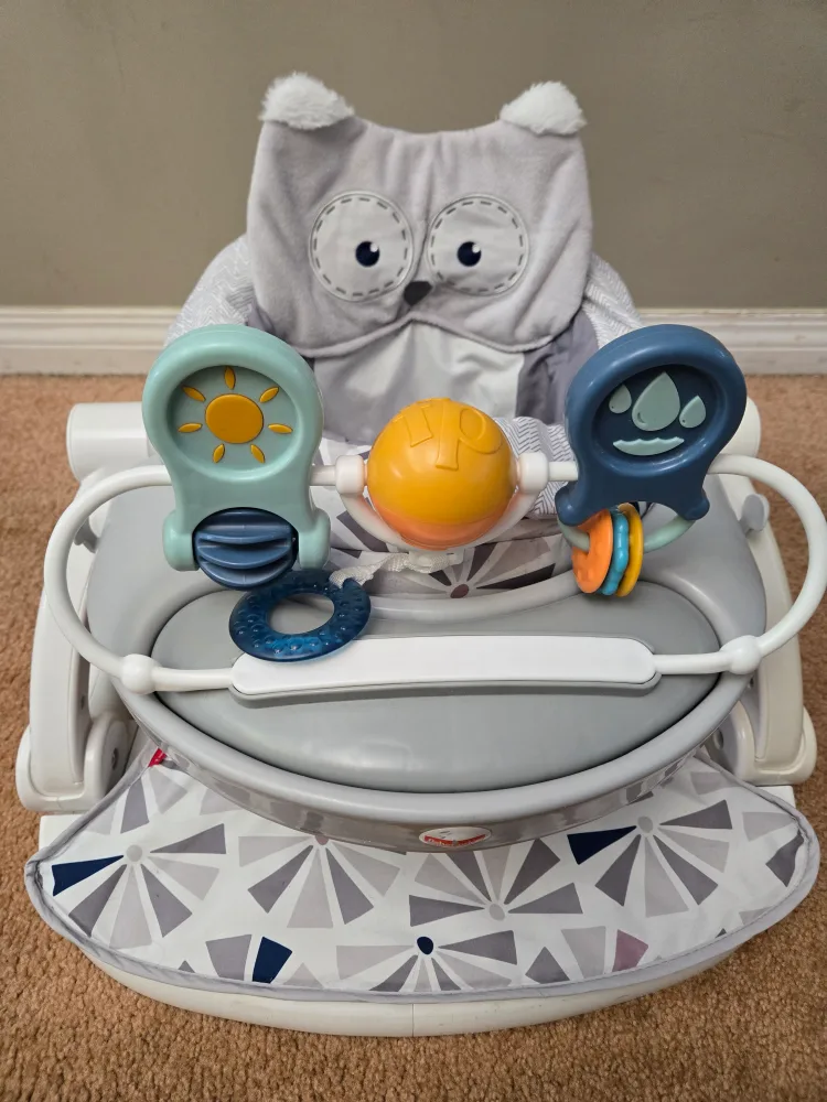 Fisher-Price Sit-Me-Up Floor Seat - Owl