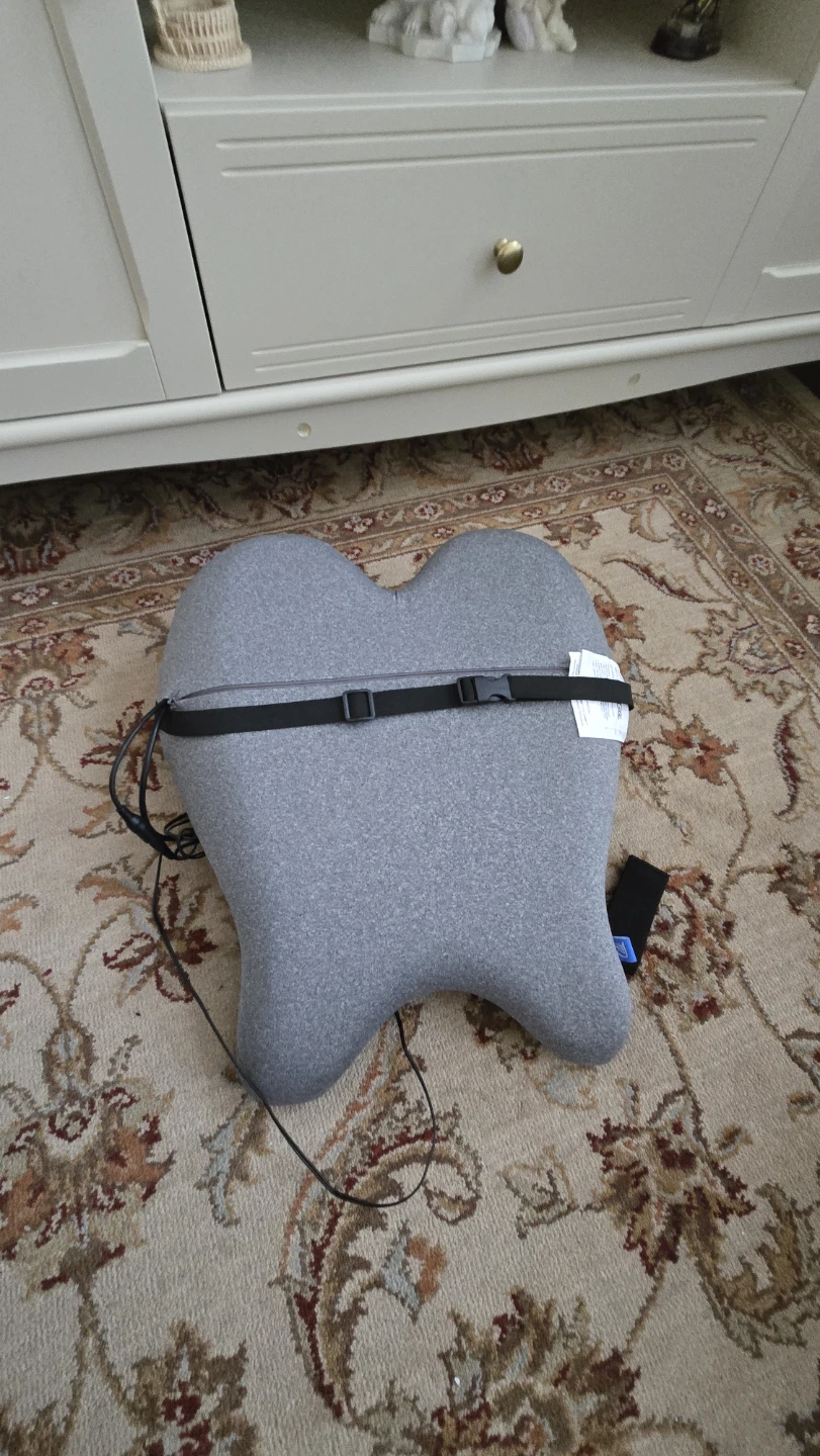Heated Lumbar Support Pillow - photo 3