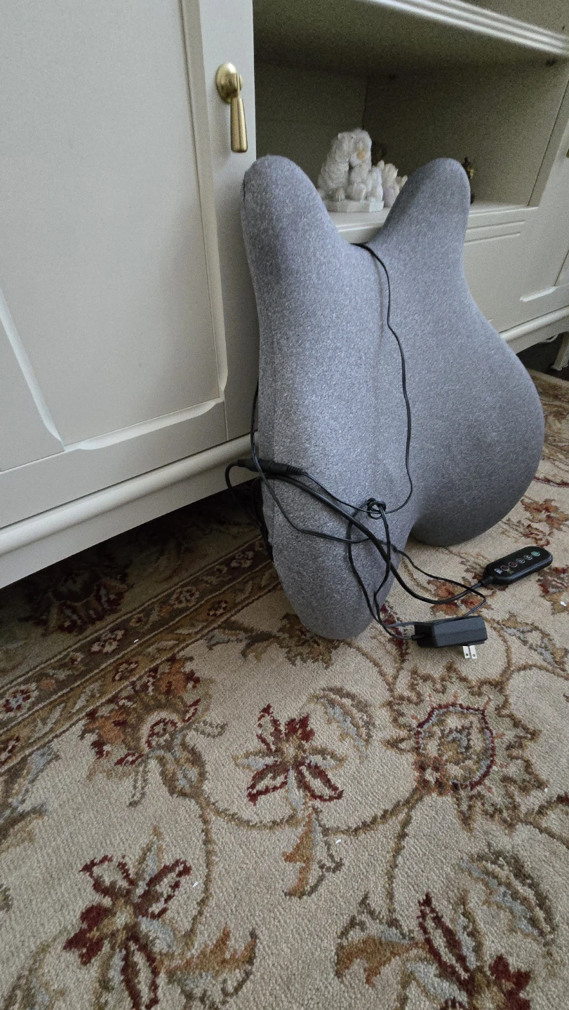 Heated Lumbar Support Pillow - photo 4
