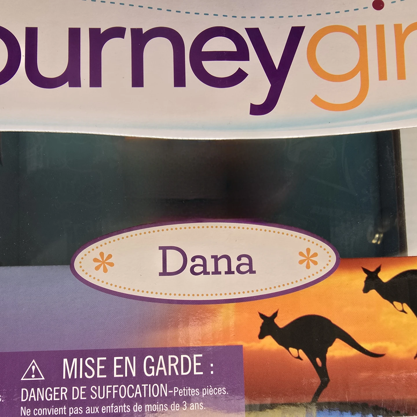 NIB! Great Gift Journey Girls Dana Doll - 18 inch Collection - photo 5