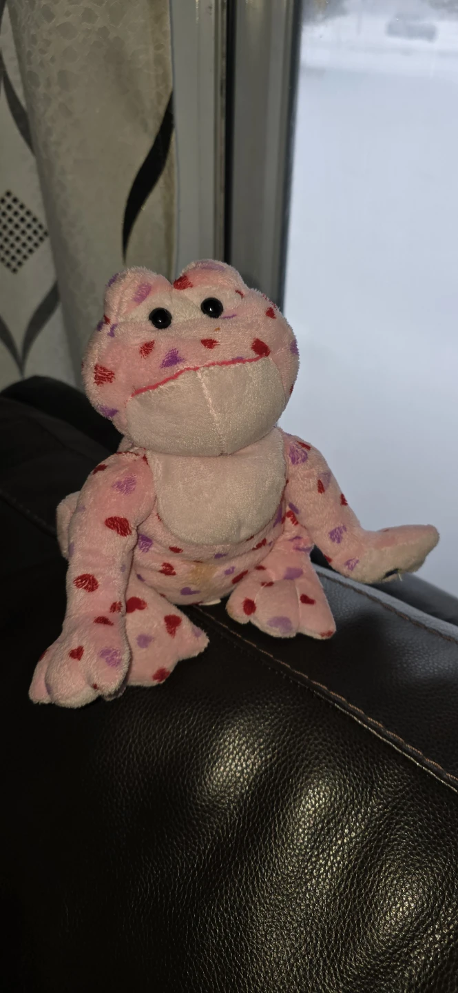Webkinz Plush Frog - Pink and Green - photo 3