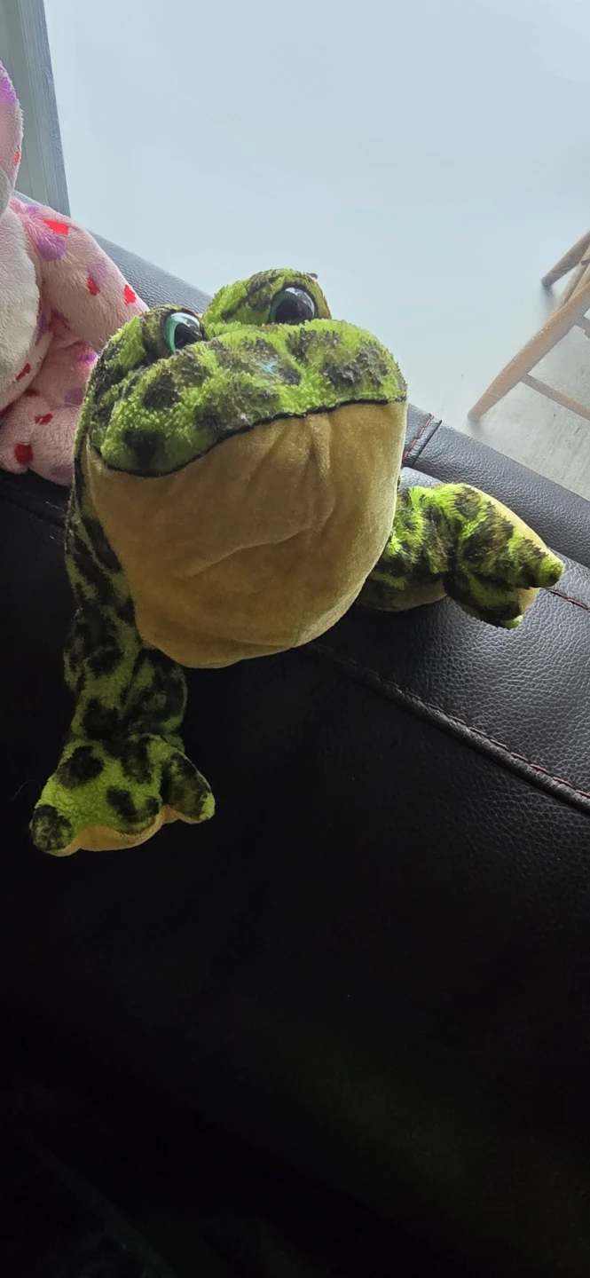 Webkinz Plush Frog - Pink and Green - photo 5