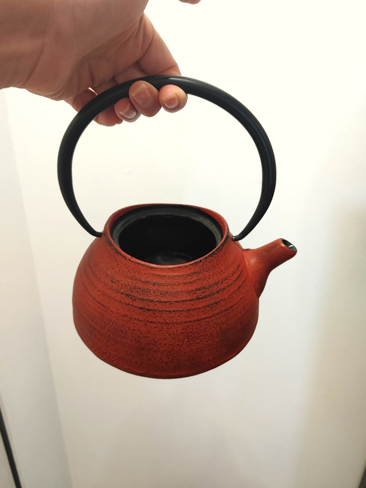 Cast Iron Teapot