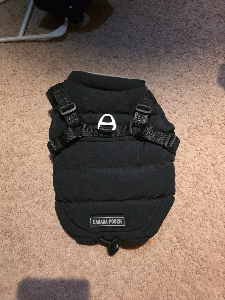 Canada Pooch Dog Puffer Vest - Size 10