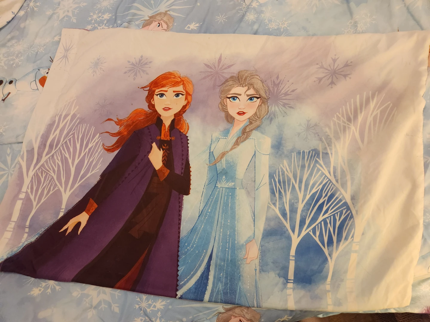 Frozen Bedding Set (twin) - photo 3