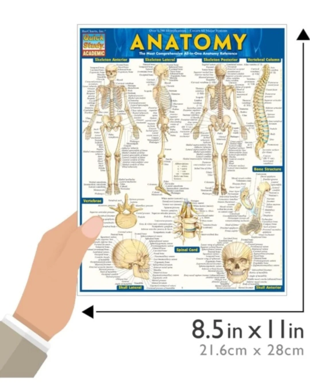 QuickStudy Science Charts/Reference Guides (Set of 5) #cleanout - photo 3
