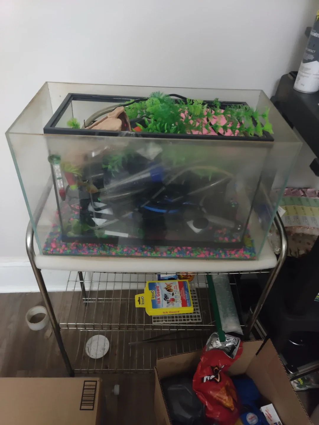 Fish Tank with Accessories