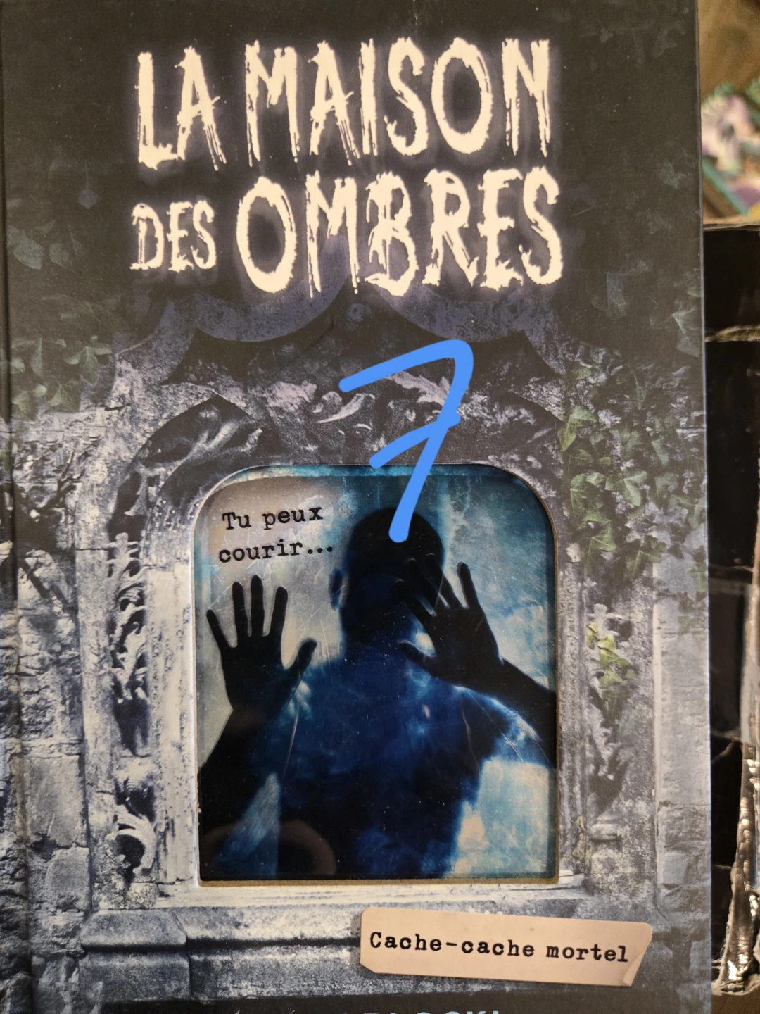 La Maison des Ombres Book Series - photo 2