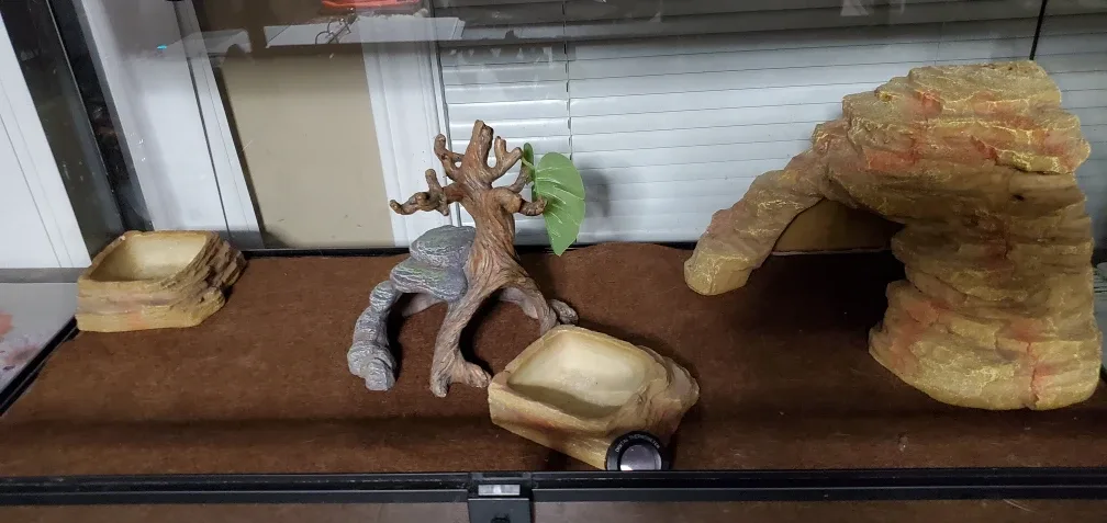 Upgraded 40 Gallon Reptile Habitat Terrarium image indicator(8)