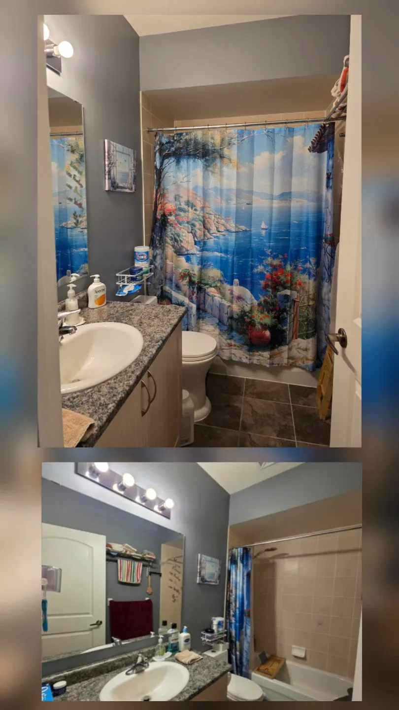 Private room + private bath in 2BR condo unit image indicator(6)