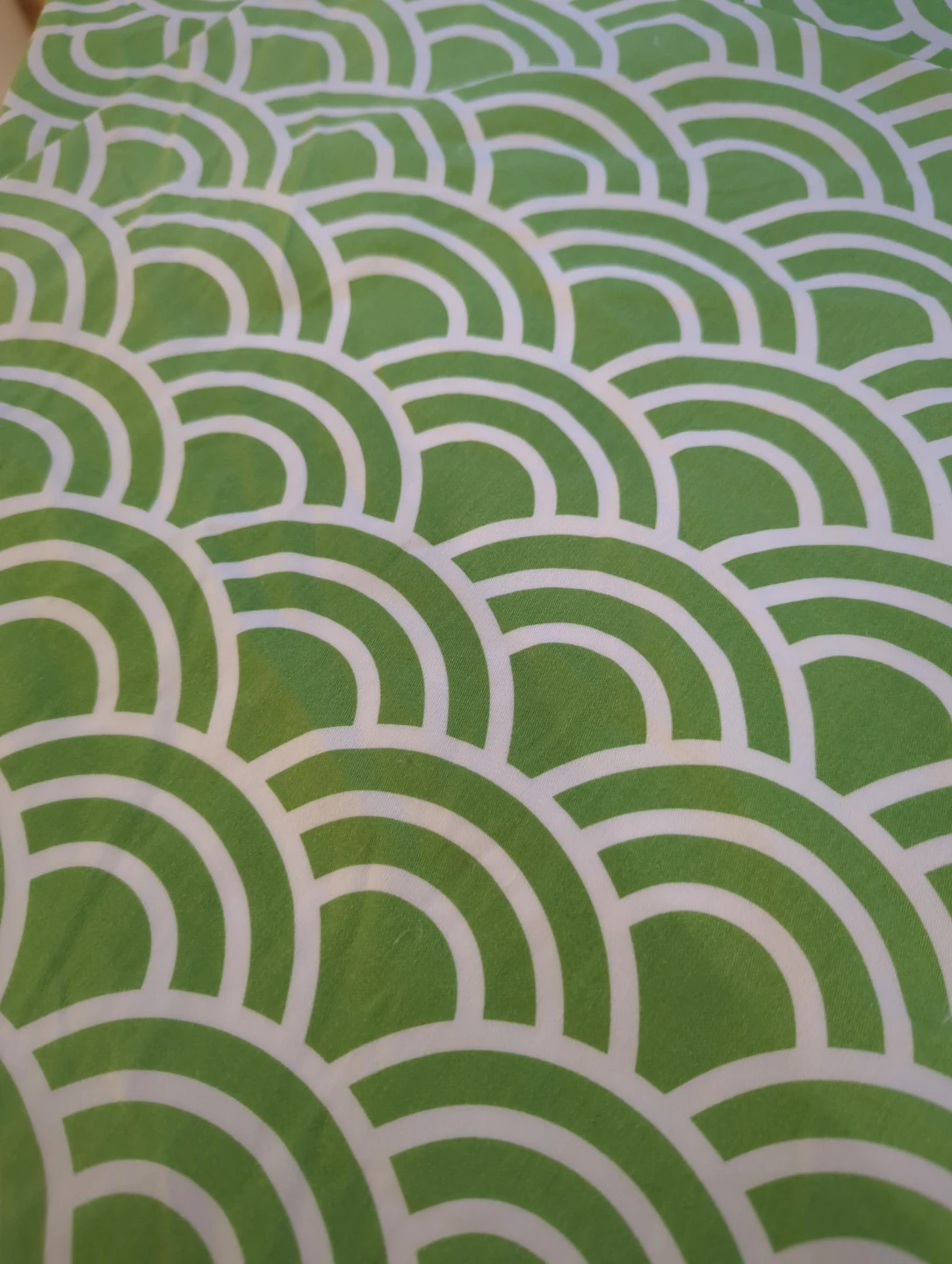 Green & White Patterned pillow covers(Last day moving Sunday)