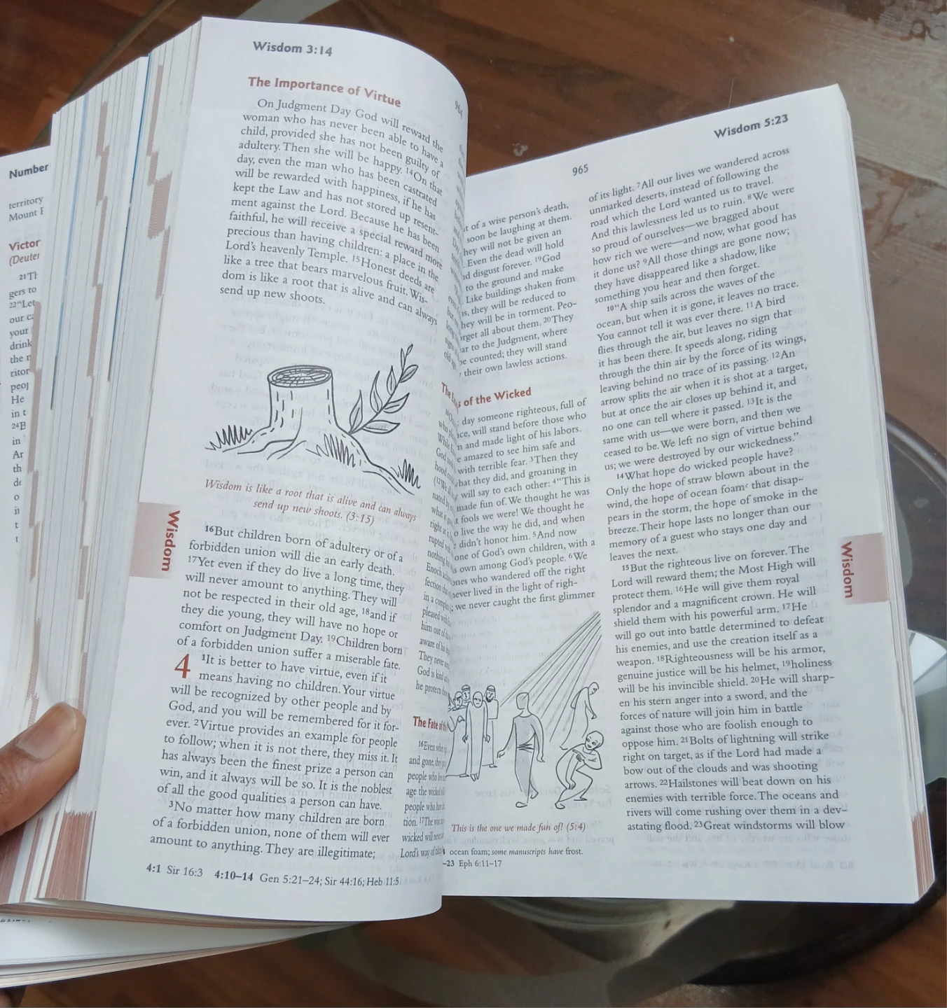 BreakThrough! Bible for Young Catholics - photo 4
