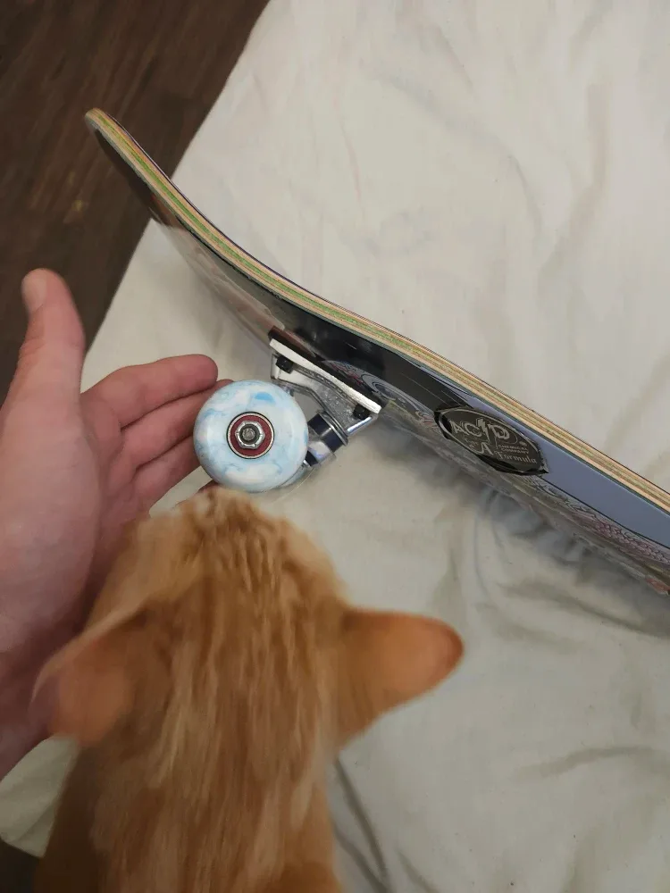 DGK Skateboard Deck with Acid Wheels image indicator(4)