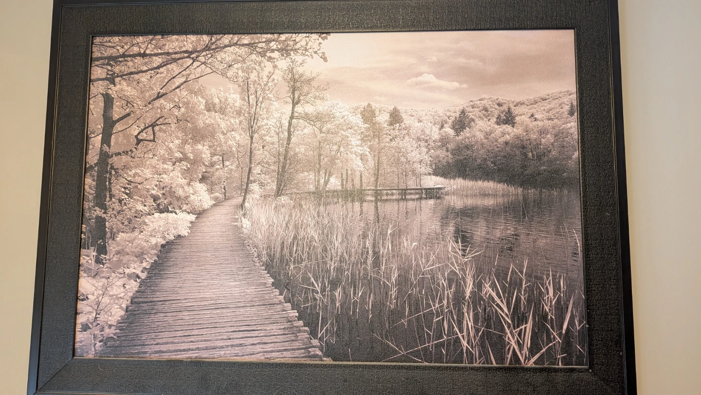Large Framed Wall Art, Sepia Marsh Boardwalk - photo 2