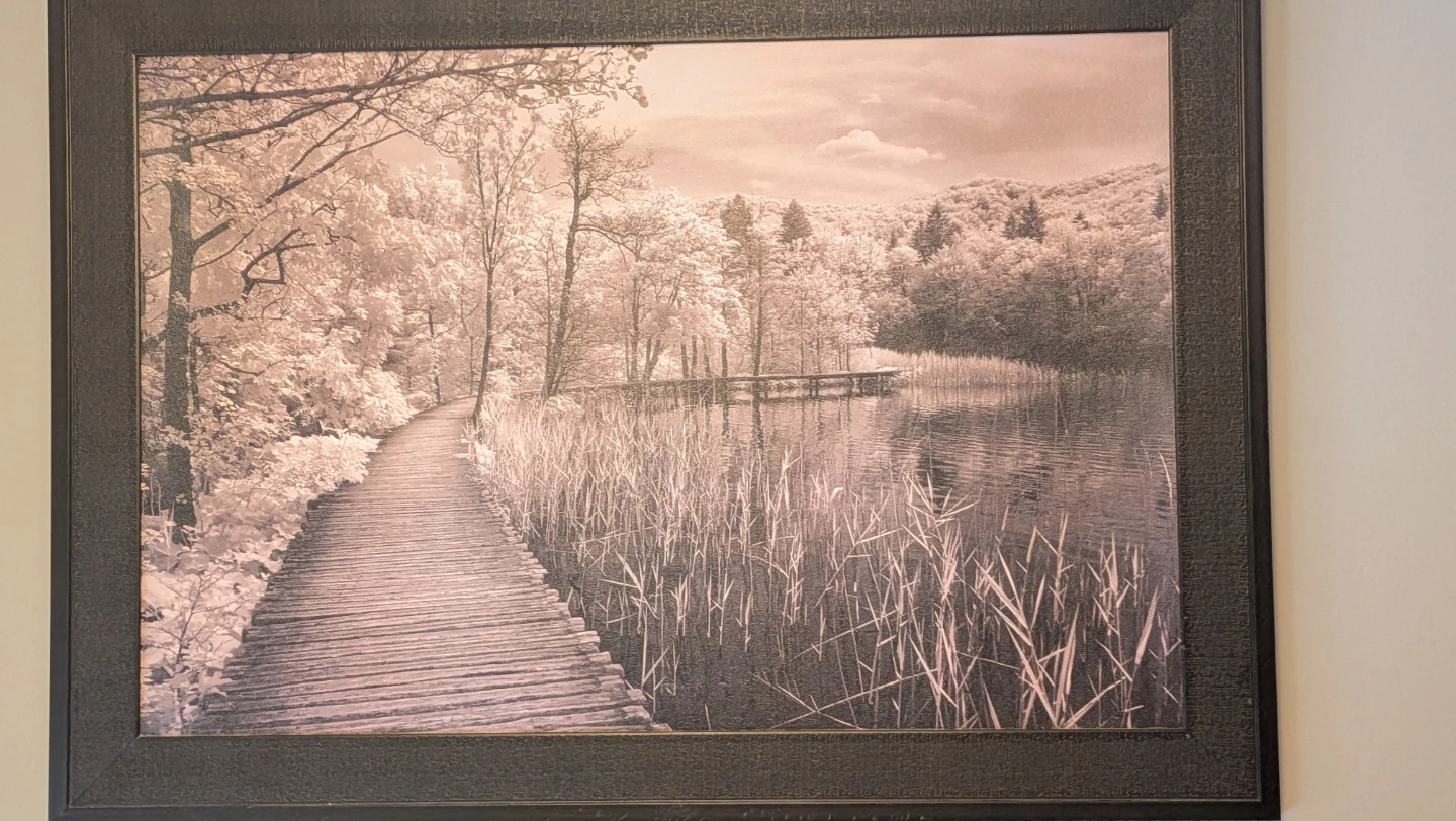 Large Framed Wall Art, Sepia Marsh Boardwalk - photo 3