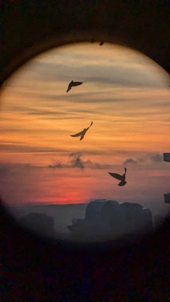 400mm Telephoto Lens for Distance Shoots or Special Close-ups image indicator(2)