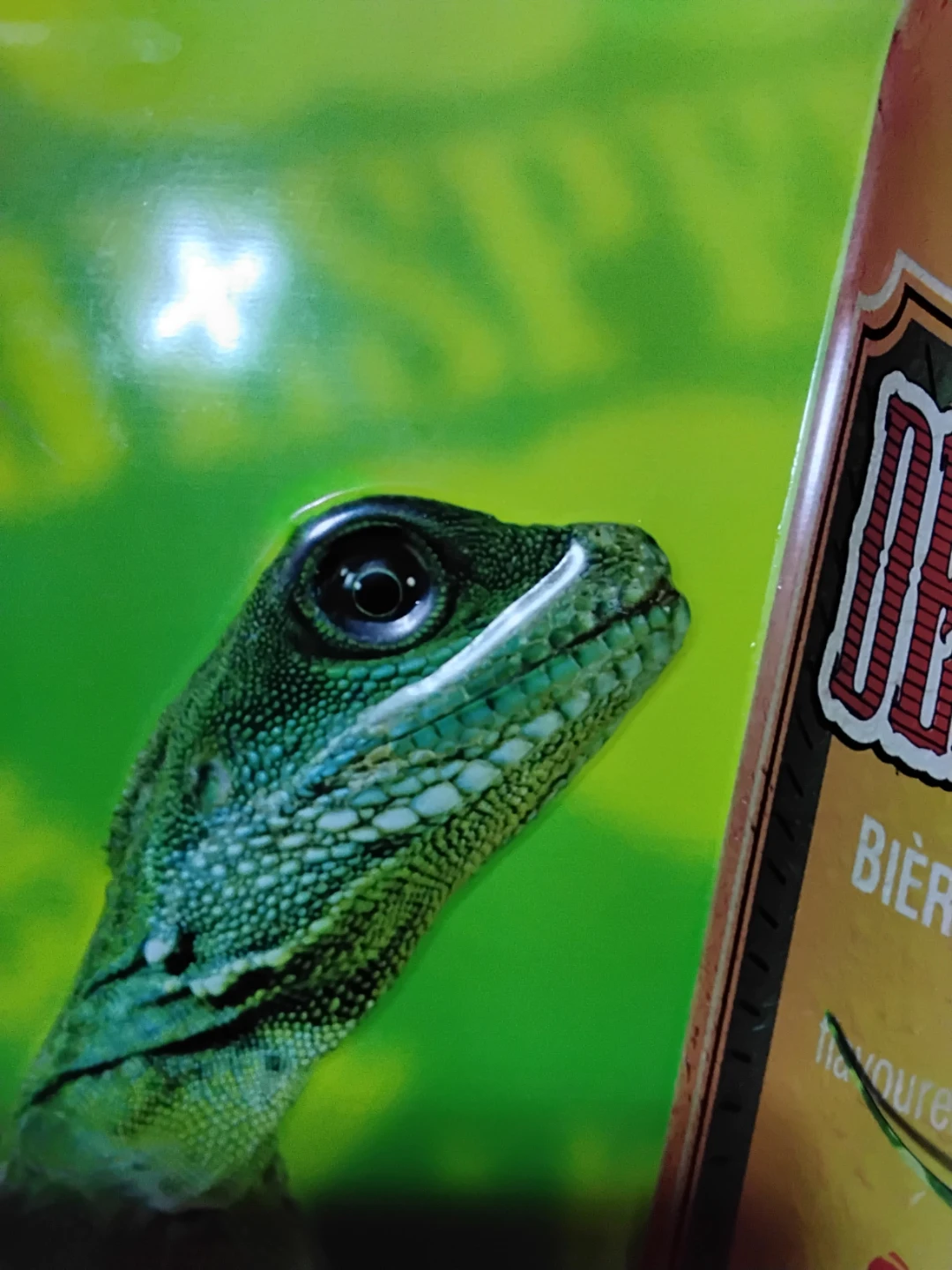 🍾🍸"Desperados" 🇲🇽 "Tequila Flavoured Beer" Sign 🦎