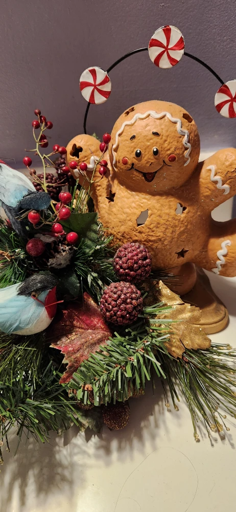 Gingerbread Man Christmas  clean out sustainability star ♻️