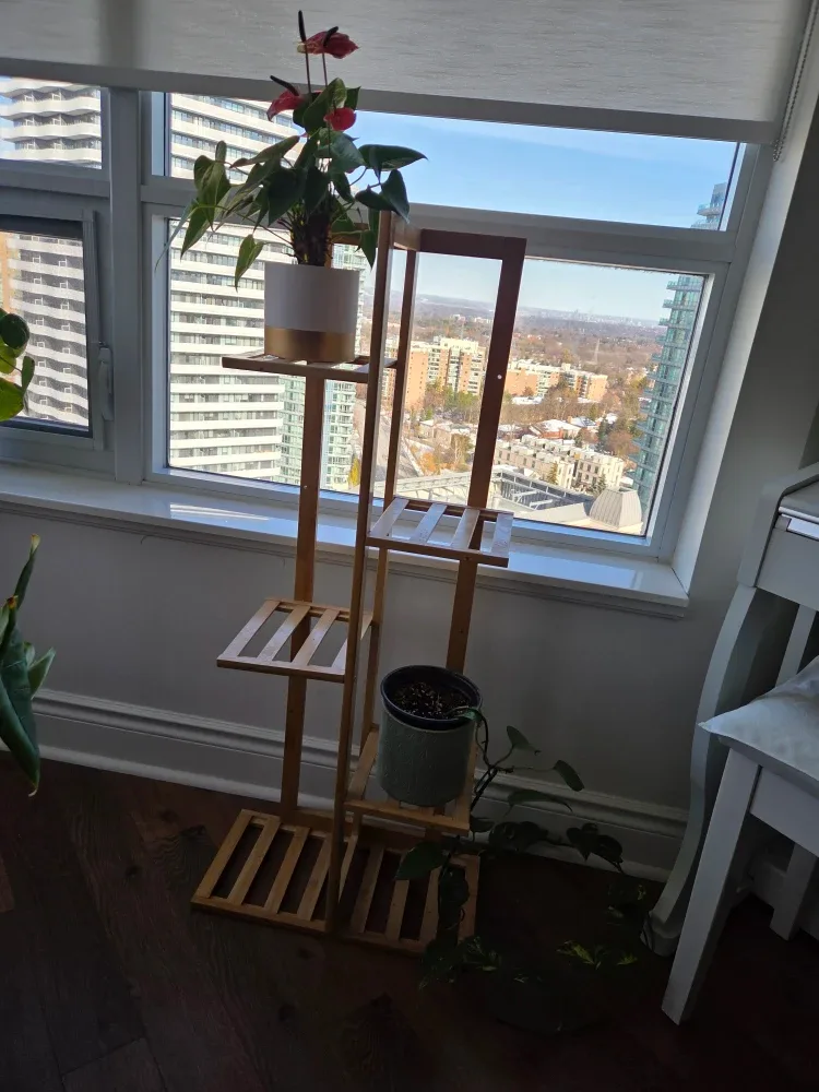 Wooden Plant Stand