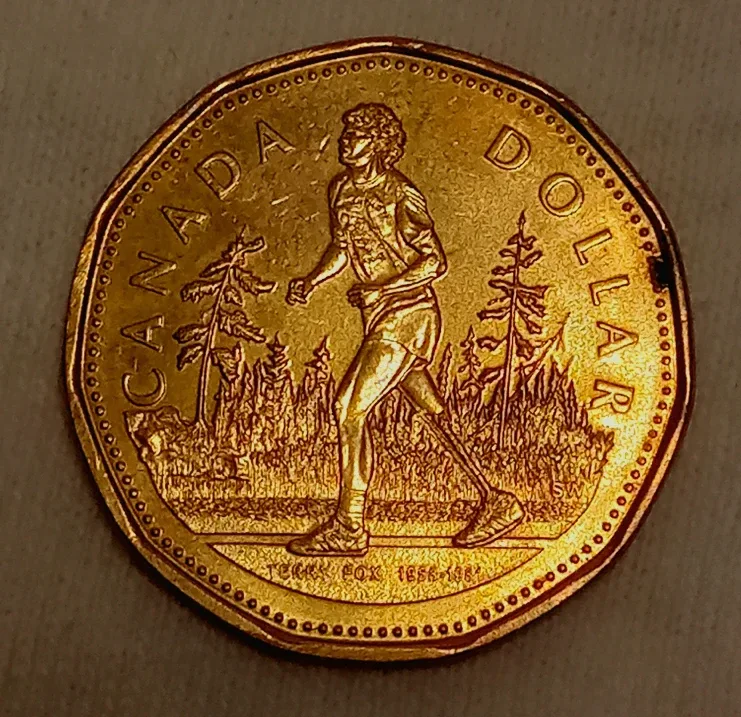 Canadian Collectible Coins with Coin Bag image indicator(6)