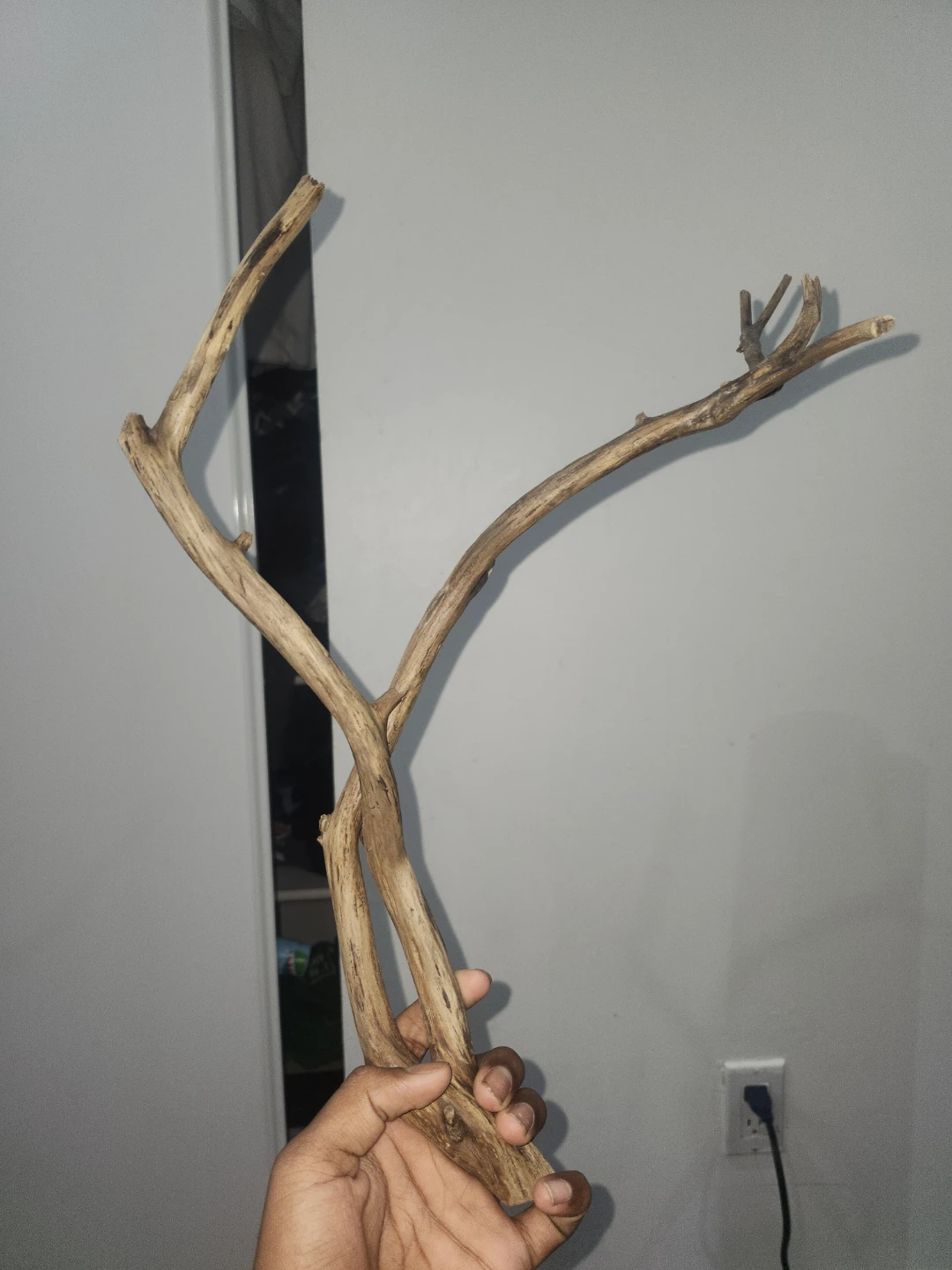 Driftwood Decoration
