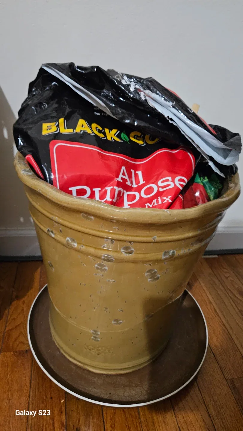 Flowerpot and free potting mix