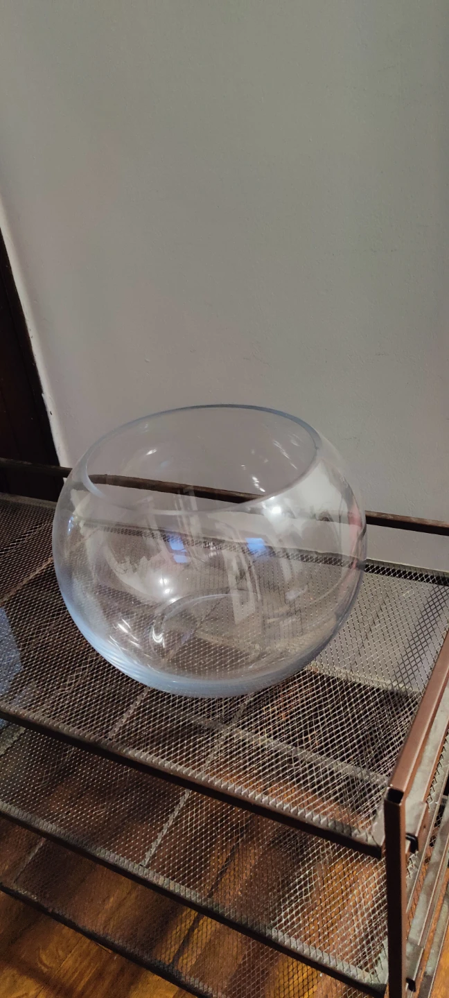 Glass Fish Bowl
