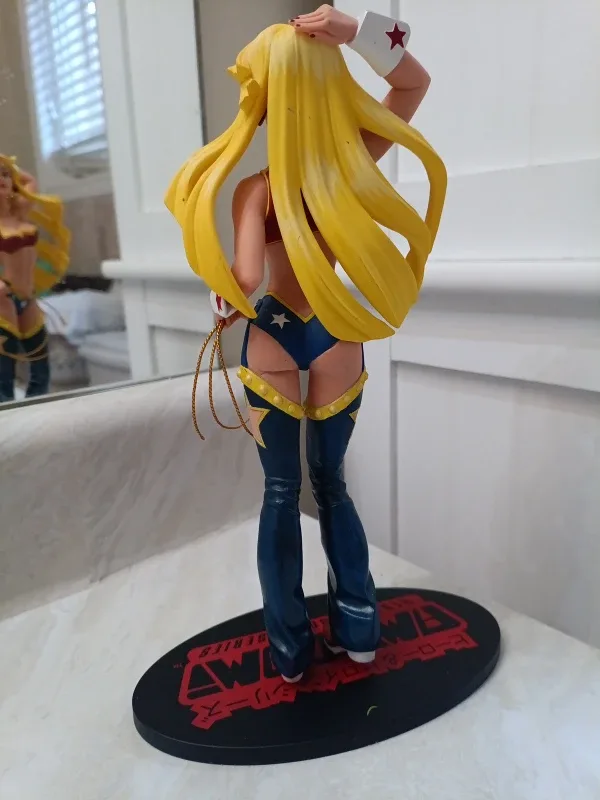 Hero & Heroine Series Robin & Wonder Woman Figures image indicator(4)