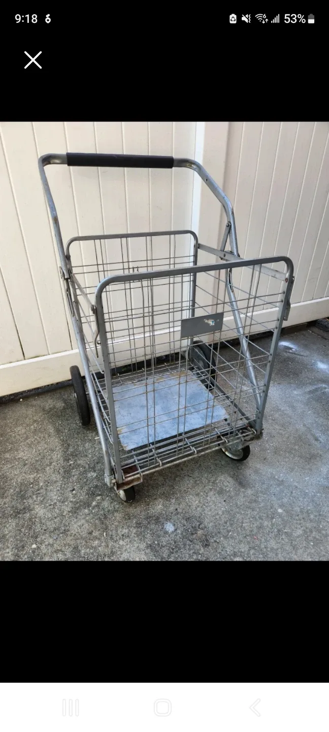 Metal Shopping Cart