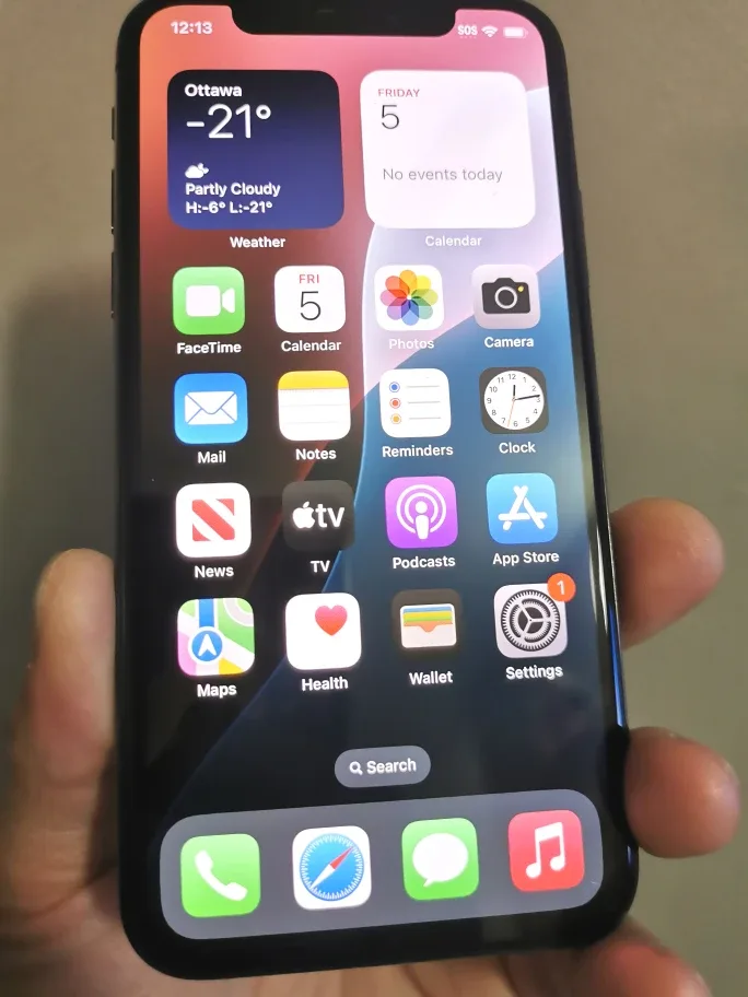 iPhone Xs 64G (Just no face id)