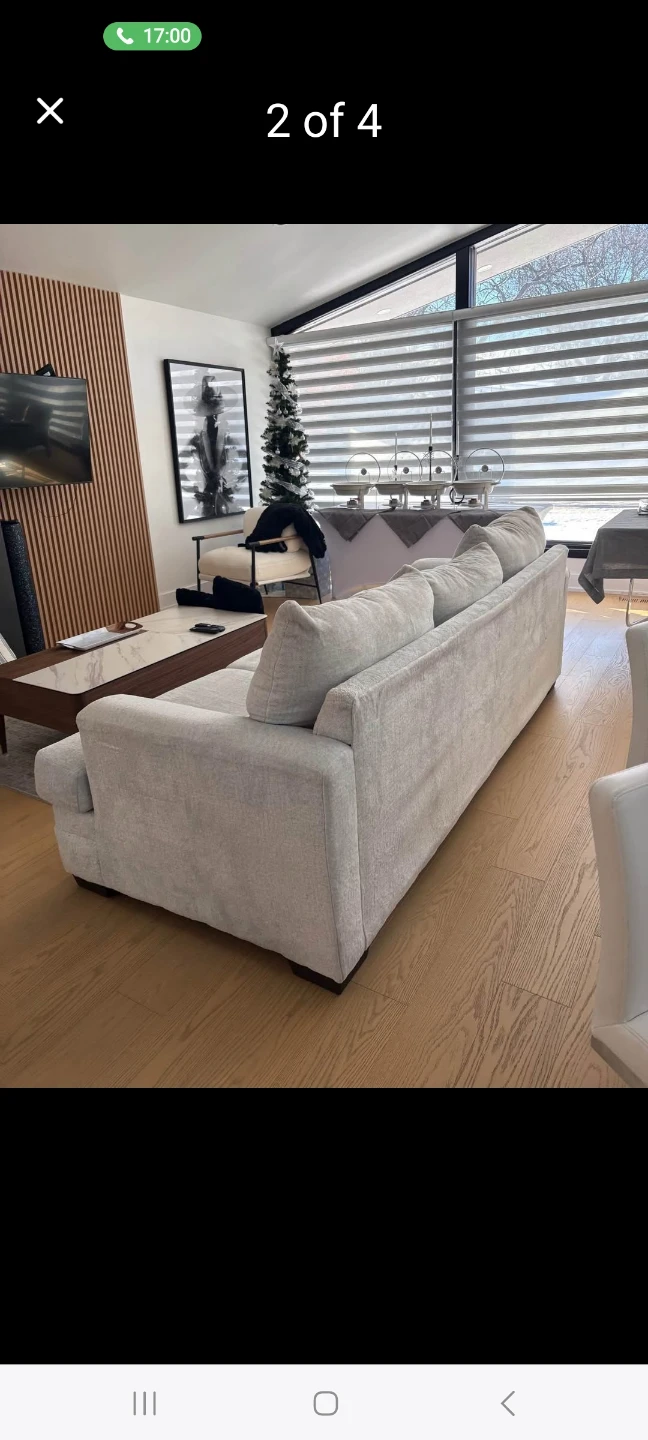 Free delivery Leon Light Grey Sofa - photo 3
