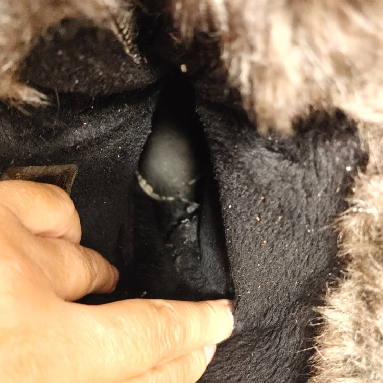 Women's  Winter Boots - Size 8 image indicator(7)