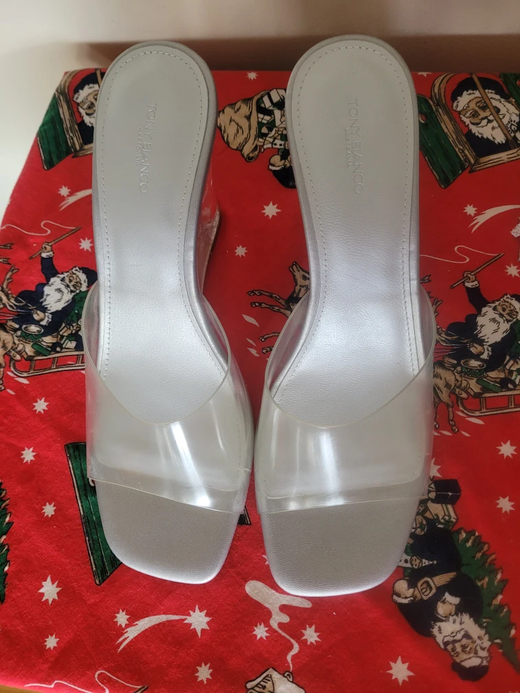 Tony Bianco Lucite Heels Size 10